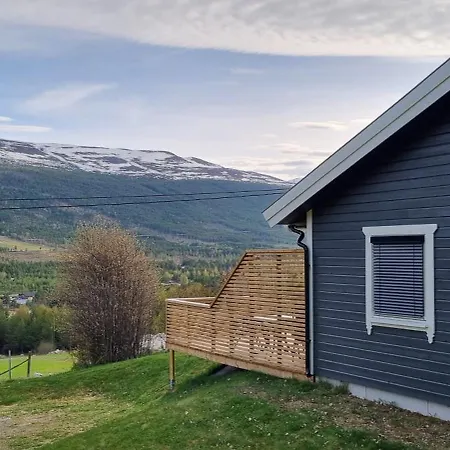 Hus I Flott Natur. Skjak