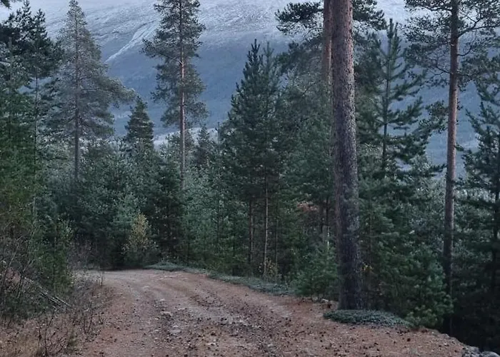 Hus I Flott