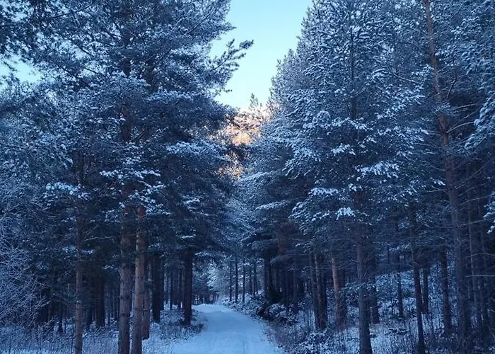 Hus I Flott Casa vacanze Skjåk