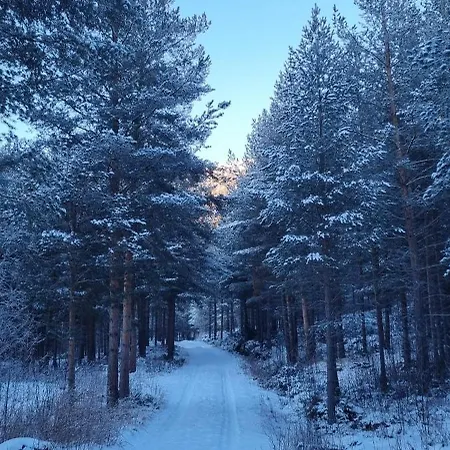 Hus I Flott Natur. Semesterbostad Skjåk